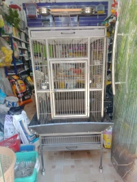 Cage perroquet
