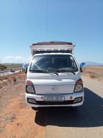 camion-h100-hyundai-2013-bou-haroun-tipaza-algerie