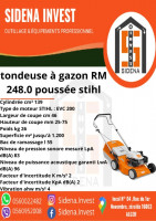 outillage-professionnel-tondeuse-a-gazon-rm-2480-poussee-stihl-zeralda-alger-algerie