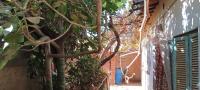 appartement-vente-niveau-de-villa-f4-sidi-bel-abbes-ain-el-berd-algerie