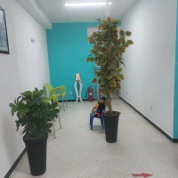 Location Local Alger El achour