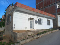 niveau-de-villa-vente-mila-algerie