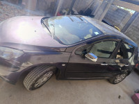 voitures-peugeot-307-2002-ngaous-batna-algerie