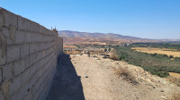 hangar-location-ain-temouchent-el-emir-abdelkader-algerie