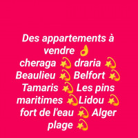 appartement-vente-alger-mohammadia-algerie