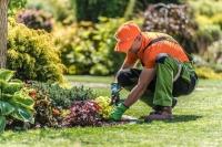 تنظيف-و-بستنة-jardinier-وهران-الجزائر
