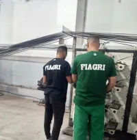 خيط فلاحي حبل زراعي رافيا 