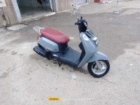 motos-et-scooters-tonic-sym-kolea-tipaza-algerie