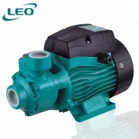 Leo
