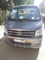 camionnette-dfsk-mini-2024-neuf-ouled-selama-blida-algerie