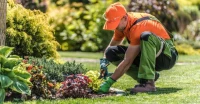 Société de jardinage, Entreprise de nettoyage & d'entretien, Servise de ponçage, lustrage, vitrage..