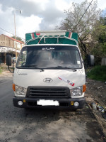 camion-hyundai-hd65-2011-tizi-ouzou-algerie