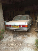 fourgon-mercedes-123-1977-tamzoura-ain-temouchent-algerie