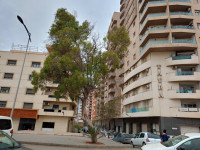 appartement-location-oran-algerie