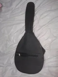 Guitar mondolin 