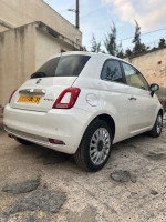 voitures-fiat-500-2024-dz-kolea-tipaza-algerie