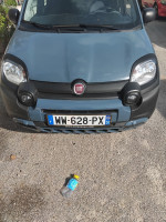 voitures-fiat-panda-2022-cross-bou-haroun-tipaza-algerie