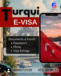 E-Visa turquie