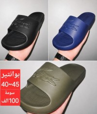 صنادل-بلايغ-رجال-سومة-لافار-القبة-الجزائر