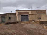 hangar-location-setif-ksar-el-abtal-algerie