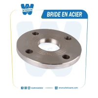 BRIDE EN ACIER