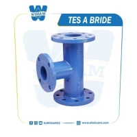 TES A BRIDE 