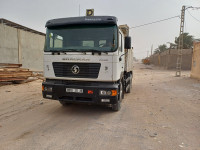 camion-shacman-2011-bayadha-el-oued-algerie