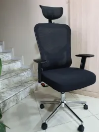 Chaise Ergonomique 