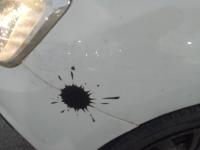 سيارات-renault-symbol-2019-extreme-قسنطينة-الجزائر