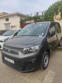 Fiat Doblo 2024 Profitionel