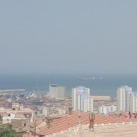 appartement-location-f3-alger-belouizdad-algerie