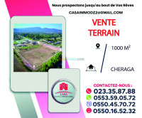 terrain-vente-alger-cheraga-algerie