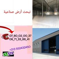 أرض-بحث-عن-شراء-غليزان-الجزائر