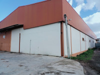 hangar-location-blida-bouinan-algerie