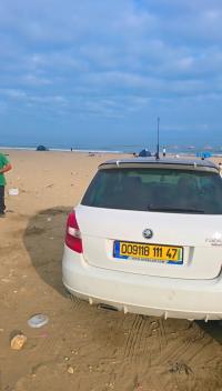 سيارات-skoda-fabia-2011-eiligons-غرداية-الجزائر