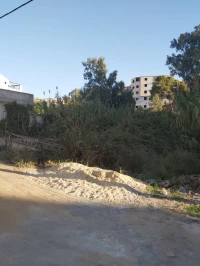 Vente Terrain Alger Saoula