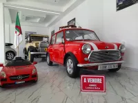 Mini austin 1974 ls