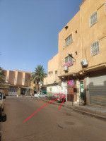 autre-location-bien-immobilier-ghardaia-algerie