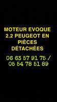 pieces-moteur-evoque-22-peugeot-en-detachees-annaba-algerie