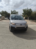 fourgon-doblo-fiat-2024-mila-algerie