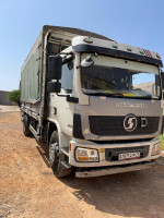 camion-shacman-l-3000-2019-algerie