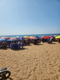 Location Bungalow Aïn Témouchent Beni saf