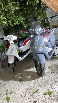 motos-et-scooters-fiddle-3-sym-2024-alger-centre-algerie