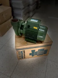 Pompe à eau saer italien 