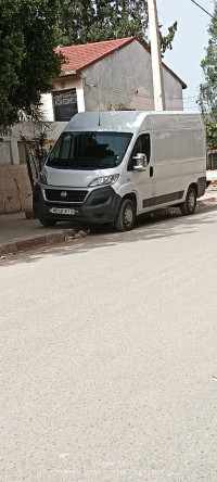 fourgon-fiat-ducato-l2h2-2017-el-harrouch-skikda-algerie