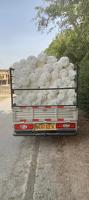 transport-et-demenagement-de-marchandises-les-eucalyptus-alger-algerie