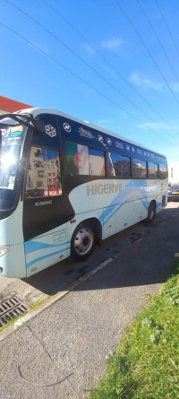 bus-higer-v8-2010-blida-algerie