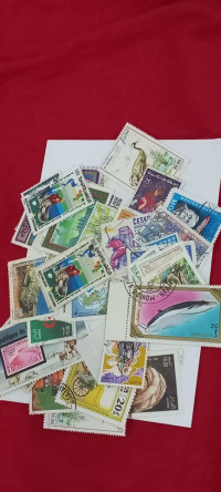 antiquites-collections-timbres-algerie-et-monde-alger-centre