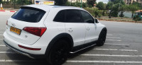 voitures-audi-q5-2011-off-road-mila-algerie