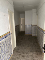 appartement-location-f4-constantine-algerie